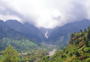 Manali Tepesi 'nden güzel Himalaya dağ etekleri yaz mevsiminde yemyeşil doğa, Hindistan' ın Himachal Pradesh kentindeki kullu vadi.