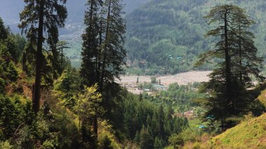 Manali Tepesi 'nden güzel Himalaya dağ etekleri yaz mevsiminde yemyeşil doğa, Hindistan' ın Himachal Pradesh kentindeki kullu vadi.