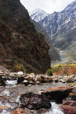 Dağ deresi yemyeşil vadiden akıyor. Etrafı karla kaplı Himalaya dağlarıyla çevrili. Jispa 'da, Lahaul vadisinde, Himachal Pradesh, Hindistan' da.