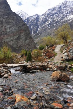 Dağ deresi yemyeşil vadiden akıyor. Etrafı karla kaplı Himalaya dağlarıyla çevrili. Jispa 'da, Lahaul vadisinde, Himachal Pradesh, Hindistan' da.