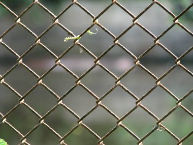 Bulanık arkaplanda paslı tel çit