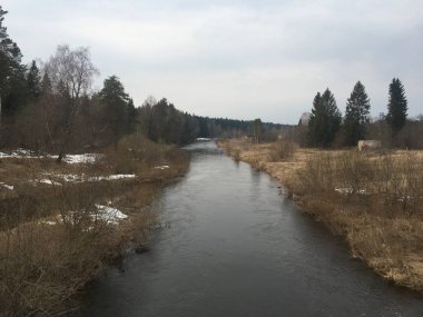 Bulutlu bir günde ormandaki nehir
