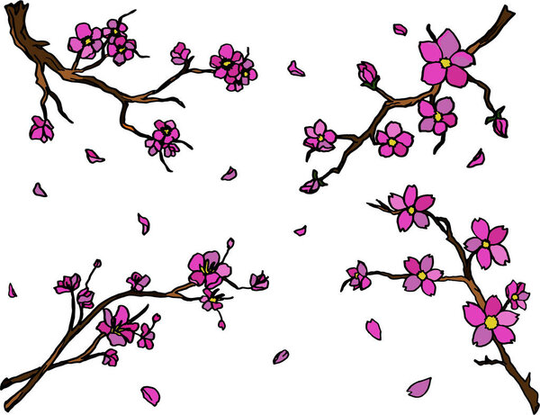 Branches Blooming Sakura Pink Flowers Decorative Elements