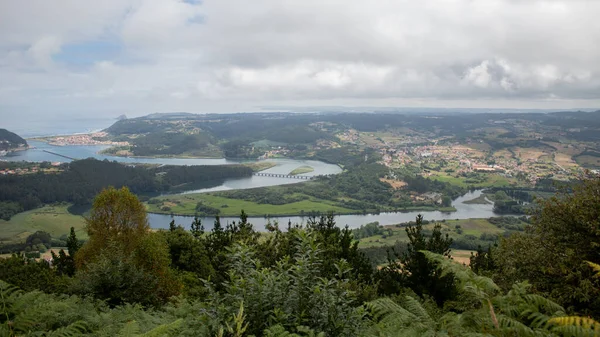 River and ocean from a mountain in a green forest