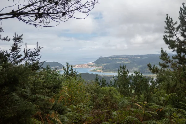 River and ocean from a mountain in a green forest
