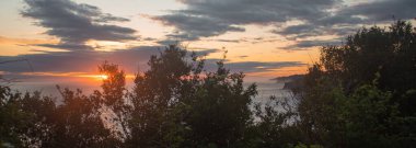 Uçurumun kenarında bir çalıyla gün batımı