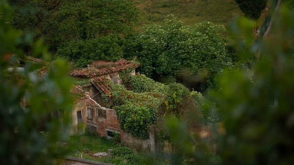 Casa Abandonada Meio Floresta — Fotografia de Stock