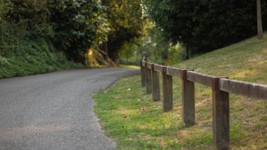 Ormanın kenarındaki kahverengi çit.