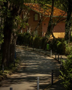 Terk edilmiş bir köyün ortasında yol
