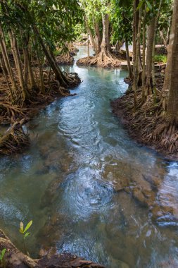 Tha Pom Khlong şarkı Nam