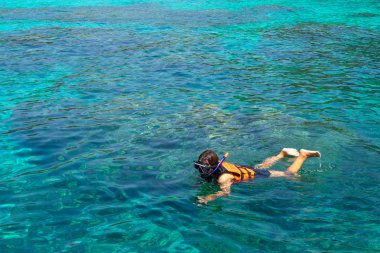 zevk almak güzel denizaltı dünya için denizde snorkeling.