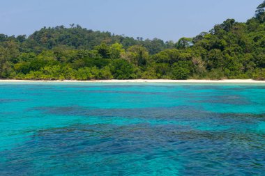 Deniz suyu ve onun çevre Ko Rok, Krabi, Tayland, Thailand, güzel bir sahne.
