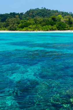 Deniz suyu ve onun çevre Ko Rok, Krabi, Tayland, Thailand, güzel bir sahne.