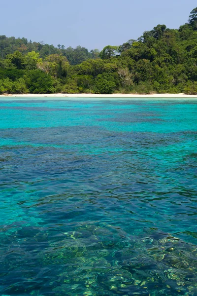 Uma Bela Cena Água Mar Seu Ambiente Rok Krabi Tailândia — Fotografia de Stock