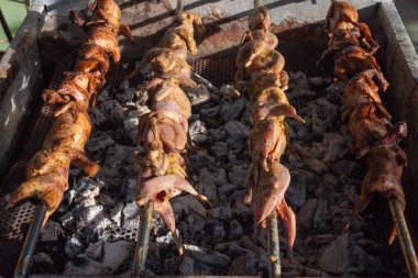 bıldırcınlar kömür sobası üzerinde ızgara.