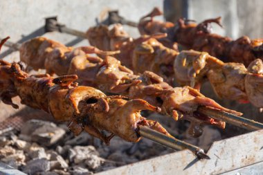 bıldırcınlar kömür sobası üzerinde ızgara.