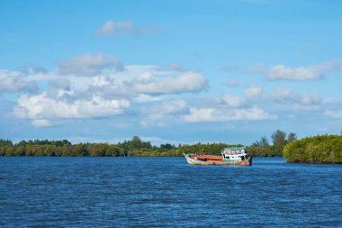 mangrov orman arka plan ve parlak gökyüzü ile bir nehir bir tekne