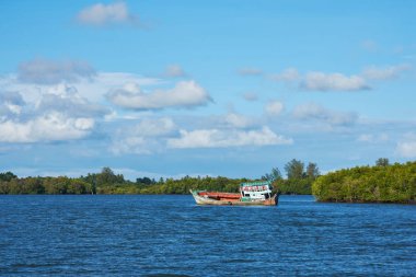 mangrov orman arka plan ve parlak gökyüzü ile bir nehir bir tekne