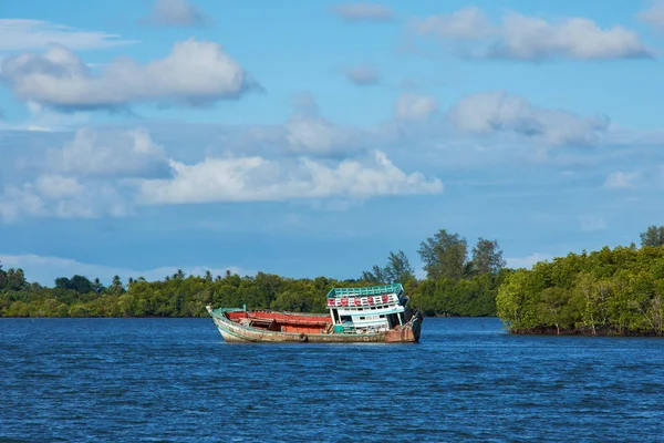 Barco Río Con Fondo Bosque Manglares Cielo Brillante — Foto de Stock