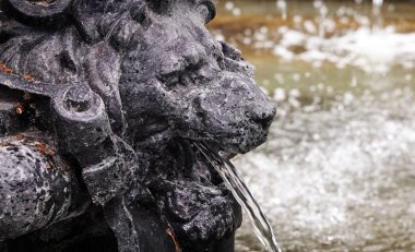 Kiev, Ukrayna 12 Temmuz 2019: Aslan, Neptün, balık yüzlü antik şehir çeşmesi