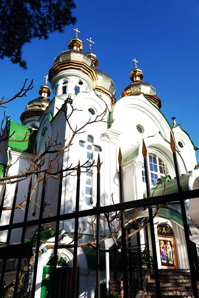 Kiev Ukraine March 2020 Temple Holy Martyrs Andrian Natalia Forest — Stock Photo, Image