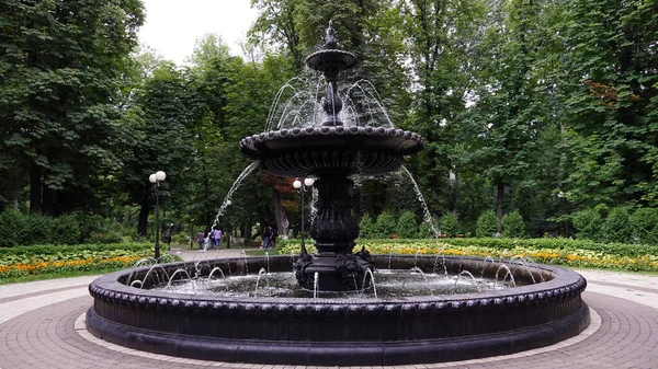 Kiew Ukraine Juli 2019 Antiker Stadtbrunnen Mit Löwengesichtern Neptun Und — Stockfoto