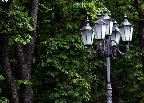 Kijev Ukrajna Július 2019 Világítás Pillér Parkban Város Kijev — Stock Fotó