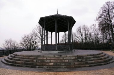 Kiev, Ukrayna 31 Ocak 2020: Kiev şehrinin parkındaki ağaç