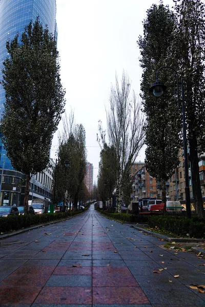 Kiev Ukraina December 2019 Alley Lesya Ukrainka Street Kiev — Stockfoto