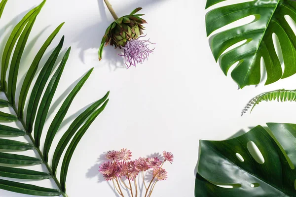 Плоска Лежача Композиція Пальмового Монстра Листя Екзотичні Квіти Ізольовані Білому Стокове Зображення