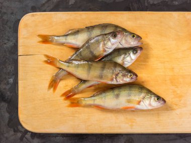 Taze balık. Taze Nehir balığı Levrek. Sarı bir ahşap zemin üzerinde. Üstten görünüm