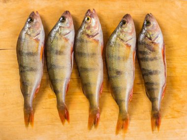 Taze balık. Taze Nehir balığı Levrek. Sarı bir ahşap zemin üzerinde. Üstten görünüm