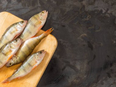 Taze Nehir balığı Levrek. Siyah bir arka plan üzerinde. Metin için özgür yer. Üstten görünüm