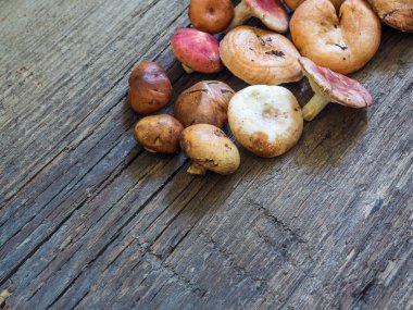 Ham taze orman mantar ahşap arka plan üzerinde çeşitli