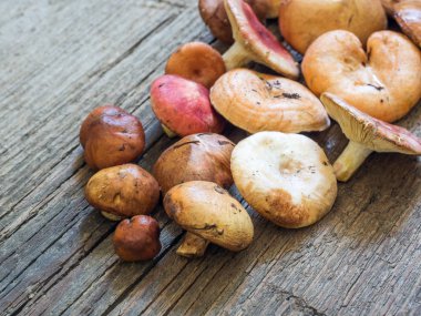 Ham taze orman mantar ahşap arka plan üzerinde çeşitli