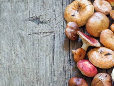 Ham taze orman mantar ahşap arka plan üzerinde çeşitli