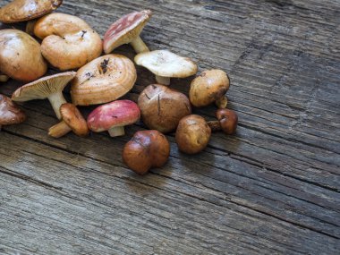 Ham taze orman mantar ahşap arka plan üzerinde çeşitli