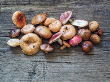 Ham taze orman mantar ahşap arka plan üzerinde çeşitli