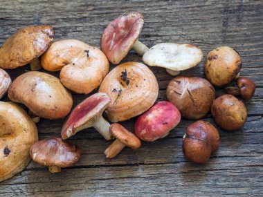 Ham taze orman mantar ahşap arka plan üzerinde çeşitli