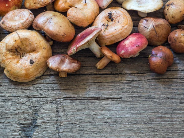 Una Variedad Hongos Forestales Frescos Crudos Sobre Fondo Madera — Foto de Stock