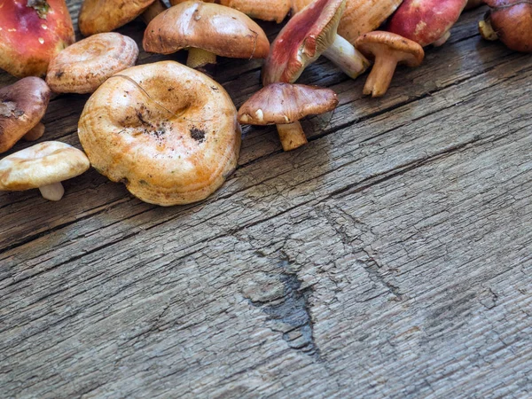 Una Variedad Hongos Forestales Frescos Crudos Sobre Fondo Madera — Foto de Stock