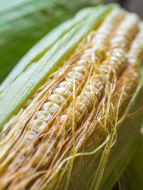 Taze mısır. Sarı Mısır, yeşil yaprakları. Portre