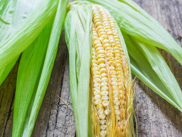 Fresh corn on the cob. Yellow corn, green leaves. Closeup