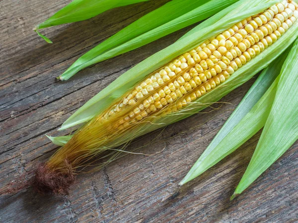 Fresh corn on the cob. Yellow corn, green leaves. Closeup