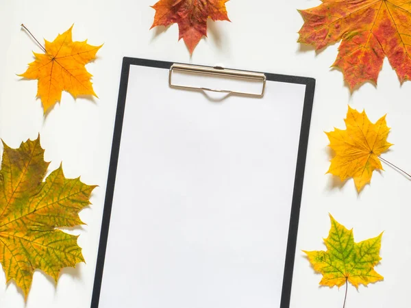 Herfst Samenstelling Van Gele Esdoorn Bladeren Lege Papper Witte Achtergrond — Stockfoto