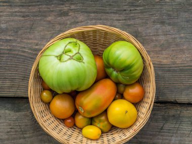 Ahşap bir arka plan üzerinde hasır sepet içinde çeşitli yeşil, sarı, kırmızı, büyük, küçük, çirkin bahçe domates. Düz yatıyordu