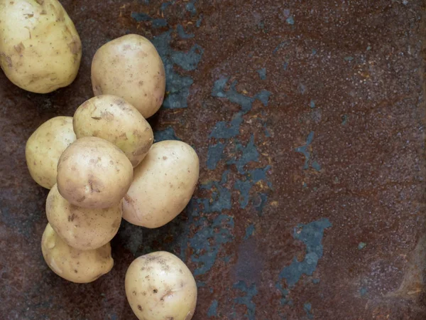 Patatas amarillas frescas y feas sobre un fondo de hierro oxidado. De cerca. — Foto de Stock