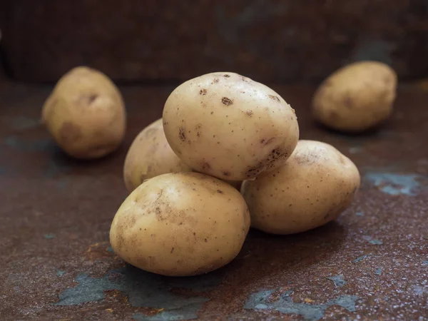 Patatas amarillas frescas y feas sobre un fondo de hierro oxidado. De cerca. — Foto de Stock