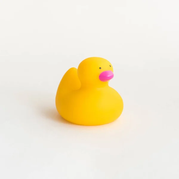 Toy yellow rubber duck isolated on white background. Opposition symbol and political struggle.