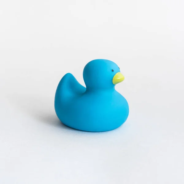 Toy blue rubber duck isolated on white background.